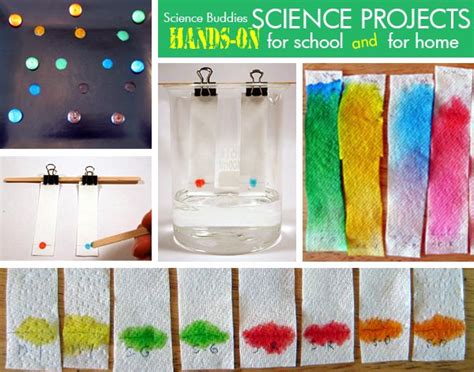 Weekly Science Project Idea/Home Science Activity Spotlight: Candy Chromatography | Science ...