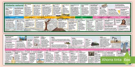 L Nea Del Tiempo Historia Natural Creat De Profesori