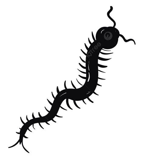 Black Centipede Clipart Png Vector Psd And Clipart With Transparent