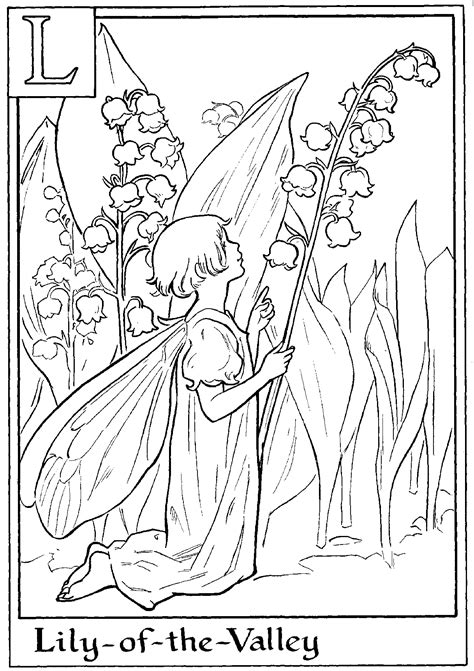 Alphabet Fairy Lily Coloring Page Fairy Coloring Book Flower Coloring