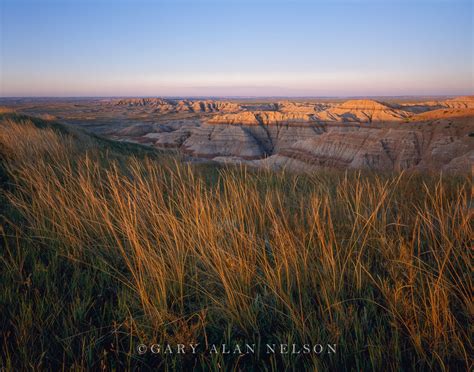 Prairie Grass over the Badlands : Badlands National Park, South Dakota : Gary Alan Nelson ...