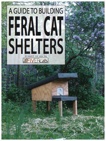 A Guide To Building Feral Cat Shelters | diy cat shelter | feral ...