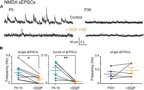 Frontiers Glutamatergic Synaptic Currents Of Nigral Dopaminergic