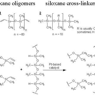 Pdms Sylgard Base And Cross Linker And Cross Linking