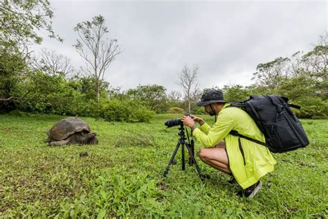 Wildlife Of The Galapagos Islands The Ultimate Travel Guide