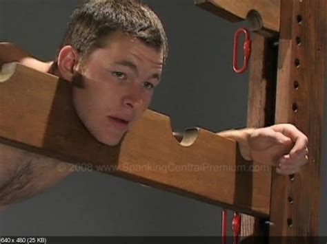 Rex The Pillory And The Paddle GAY