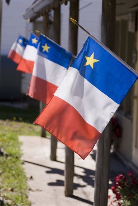 38 Best Acadian Flag Star 2014 Images On Pinterest Flags Canada And Flag