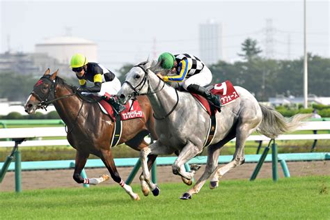 【アスクビクターモア】菊花賞で田辺裕信を漢にできるか？ 競馬ファンのこえ