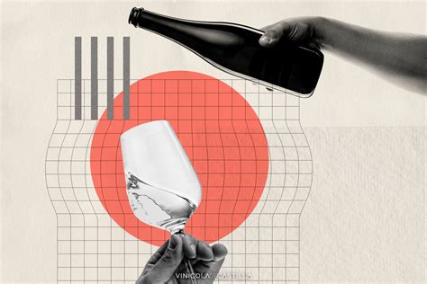 Tendencias En El Consumo De Vino Cambio E Innovación