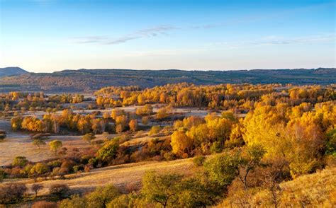 Premium Photo | Autumn grasslands of inner mongolia