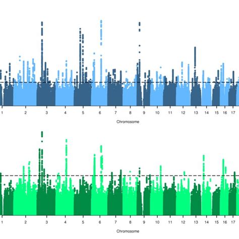 A Manhattan Plot For The Genome Wide Association Analysis Of Download Scientific Diagram