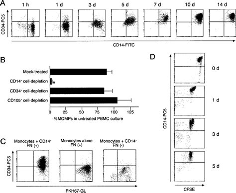 Momps Originated From Circulating Cd14 Monocytes A Pbmcs Were