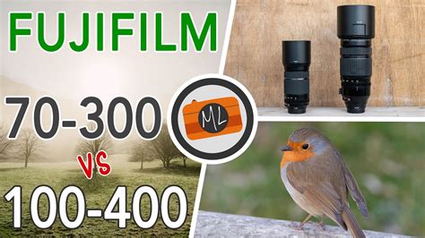 Fujifilm 70 300mm Vs 100 400mm For Wildlife And Bird Photography