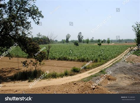 6 Farming Runescape Images, Stock Photos & Vectors | Shutterstock