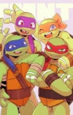 Raphael X Reader Mating Season Nsfw Story Tmnt And Rottmnt X Reader