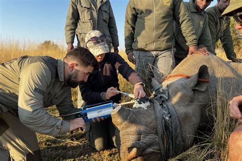 IRF Grant – Black Rhino Conservation