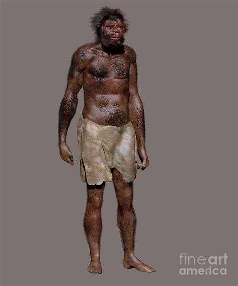 Homo Sapiens Jebel Irhoud Photograph By John Bavaro Fine Art Science