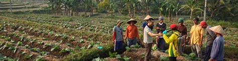 Lowongan Dan Karier Pt Sadhana Arifnusa Ulasan