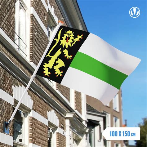 Vlag Druten 100x150cm Bol