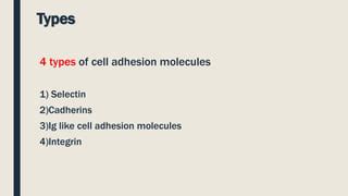 Cell adhesion molecules | PPT