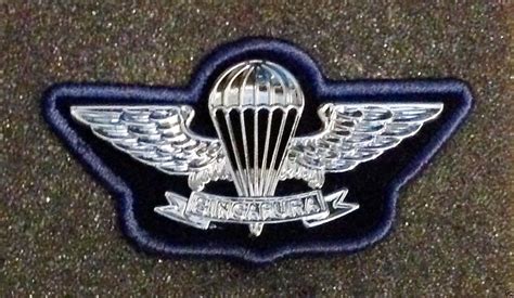 Singaporebasiccombatdiverparachutistparajumpwingbadgeairborne