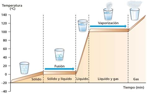 Cuáles Son Los Cambios De Fase Del Ciclo Del Agua Brainlylat