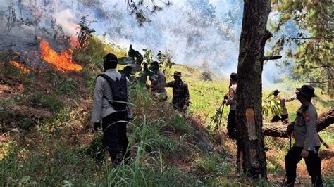 Kementerian Tni Polri Bersiaga Pasca Kebakaran Hutan Gunung Lawu