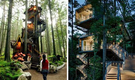 Pictures Quirky Beautiful Treehouses Beautiful Forests Traditional