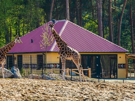 Ferienparks Mit Schwimmbad In Holland Alle Auf Einen Blick