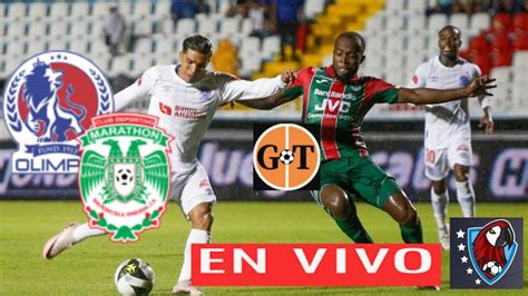 MARATHON VS OLIMPIA EN VIVO HONDURAS Liga Nacional Apertura