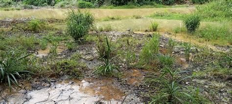 In Congo, the Disaster of the Mining Sites Abandoned by the Company ...