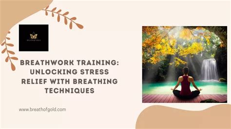 Ppt Breathwork Training Unlocking Stress Relief With Breathing Techniques Powerpoint