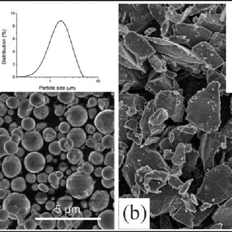 The Sem Micrographs Of Al And B4c Particles With An Insert Of Particle