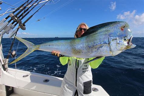 Excursi N De Pesca En Alta Mar En Miami Hellotickets