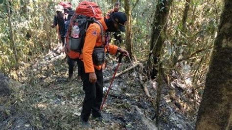 Kebakaran Hutan Argopuro Semakin Meluas Data BPBD Jember Hingga Kini