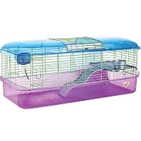 Best 6 Netherland Dwarf Bunny Rabbit Cages Indoor Or Outdoor