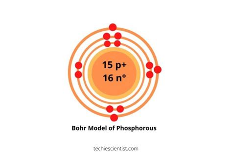 Phosphorus Bohr Model — Diagram, Steps To Draw - Techiescientist