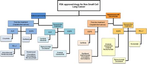 New Fda Approved Drug For Lung Cancer - CancerWalls