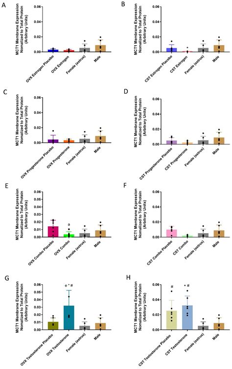 Pharmaceutics Free Full Text Effect Of Sex And Cross Sex Hormone Treatment On Renal