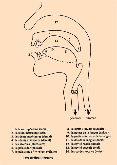 Structures Du Fran Ais Contempor