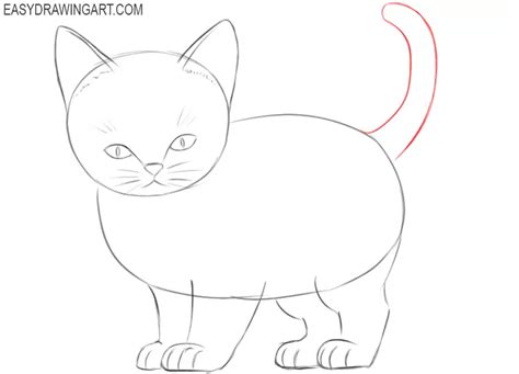 How To Draw A Realistic Kitten Step By Step