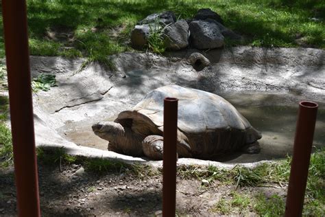 Idaho Falls Zoo - Utah's Adventure Family