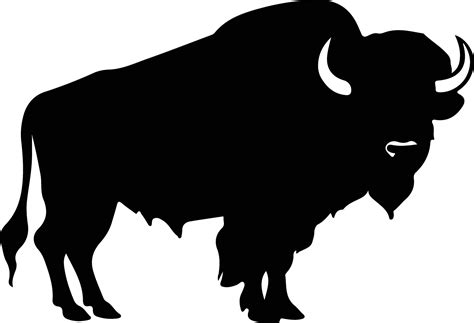 buffalo black silhouette 38100176 Vector Art at Vecteezy