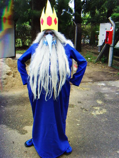 Ice King Cosplay 2 by ViluVector on DeviantArt