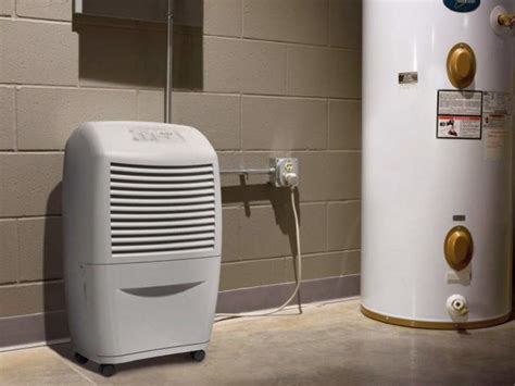 Best Dehumidifiers For Basement Biddy Cherida