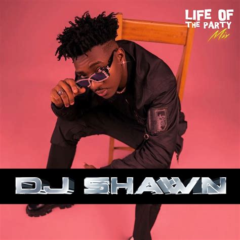 ‎life Of The Party Mix Dj Shawn Afropiano Mix Dj Mix By Dj Shawn On