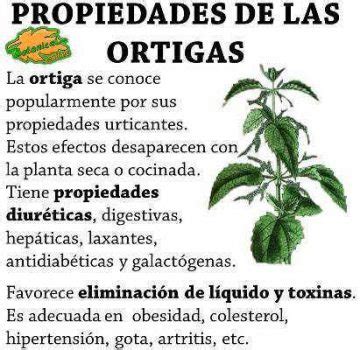 Plantas Para La Vida