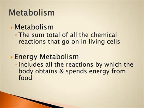 PPT - Metabolism of Nutrients PowerPoint Presentation, free download ...