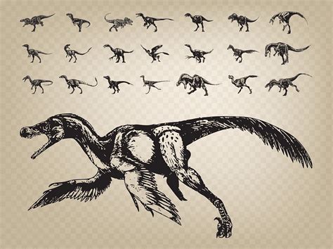 Dinossauros Png PNGWing