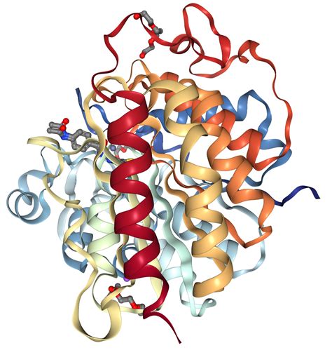 Hdac Protein Overview Sino Biological